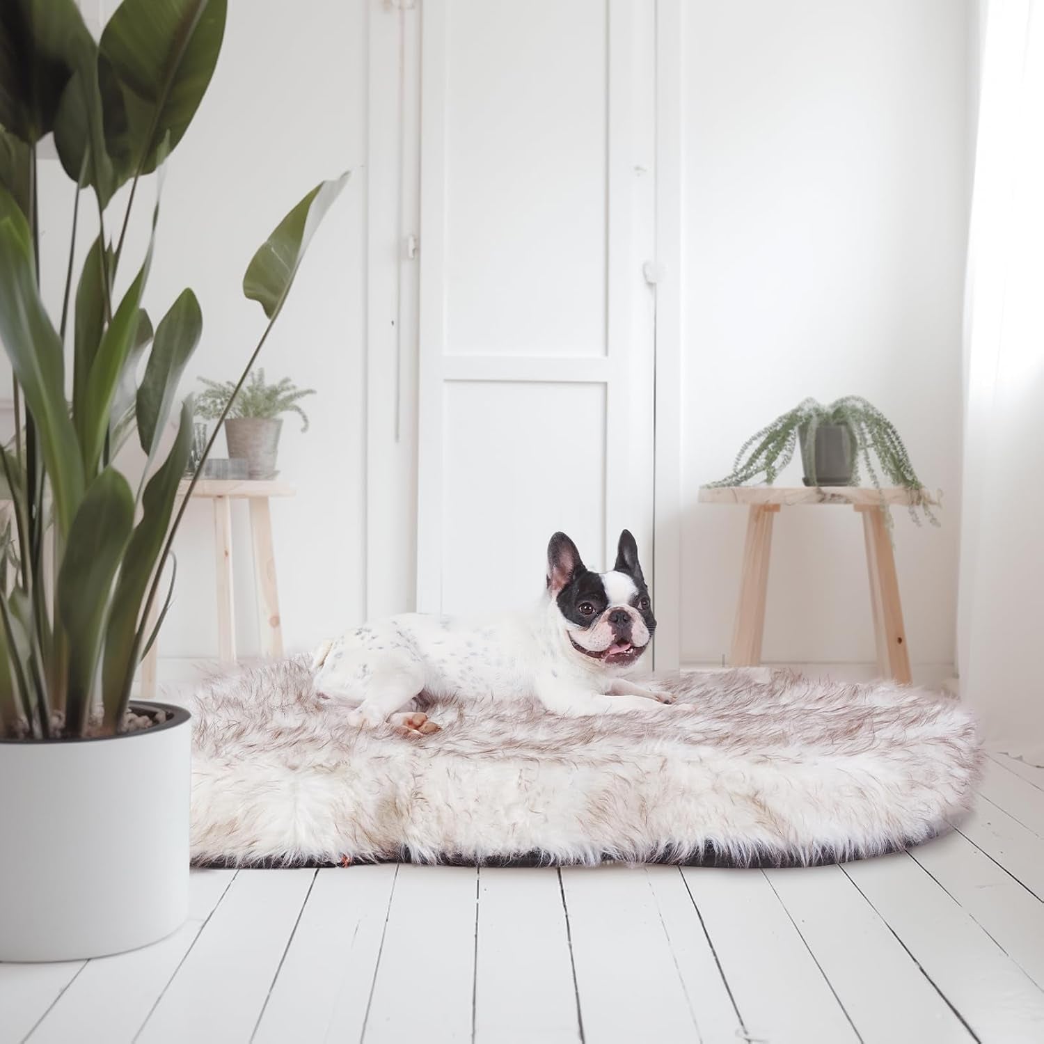 Luxury Faux Fur Dog Bed, 5-Inch Thick Grade Ultra Soft Orthopedic Memory Foam Dog Bed with Faux Fur Cover, Plush Pup Rug with Removable Cover, Waterproof Liner（White）