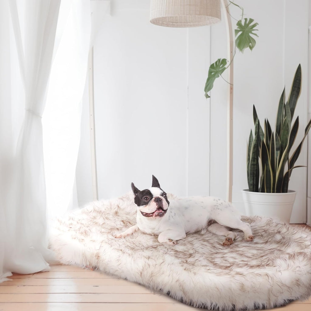 Luxury Faux Fur Dog Bed, 5-Inch Thick Grade Ultra Soft Orthopedic Memory Foam Dog Bed with Faux Fur Cover, Plush Pup Rug with Removable Cover, Waterproof Liner（White）