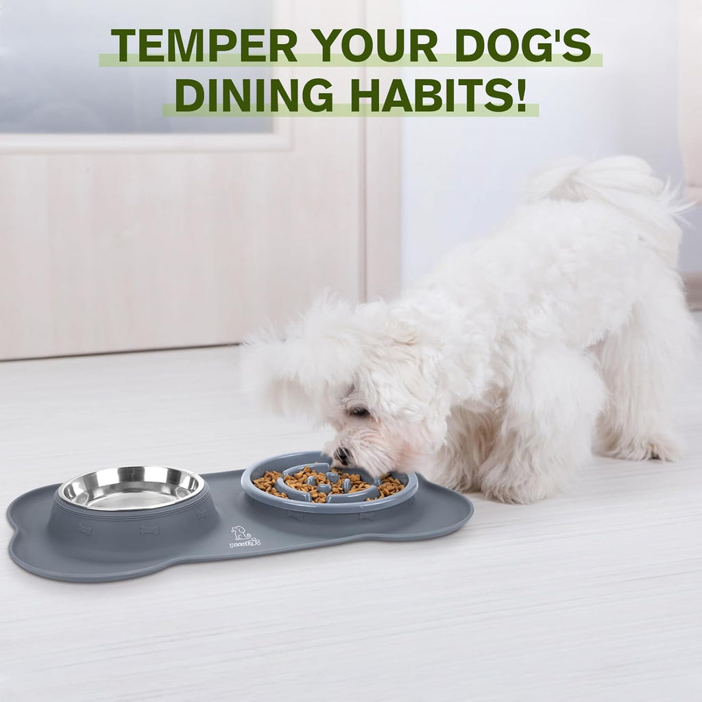 Slow Feeder Dog Bowls to Slow down Eating, Dog Bowl Slow Feeder with No-Spill Non-Skid Silicone Mat, Food-Grade Safe Dog Food Bowls Slow Feeder, Stainless Steel Dog Water Bowl for Dogs Cats