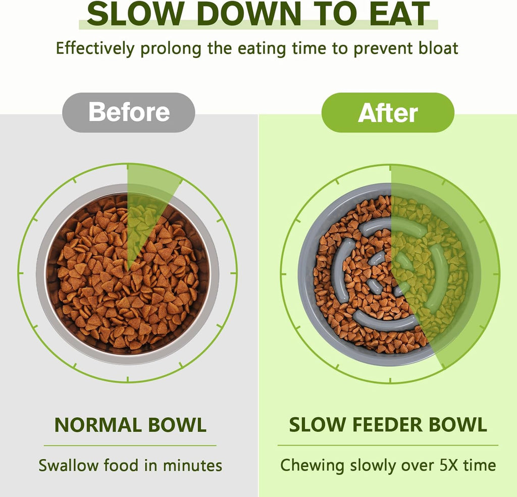 Slow Feeder Dog Bowls to Slow down Eating, Dog Bowl Slow Feeder with No-Spill Non-Skid Silicone Mat, Food-Grade Safe Dog Food Bowls Slow Feeder, Stainless Steel Dog Water Bowl for Dogs Cats